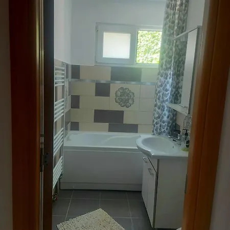 Bulevardul Victoriei Apartment